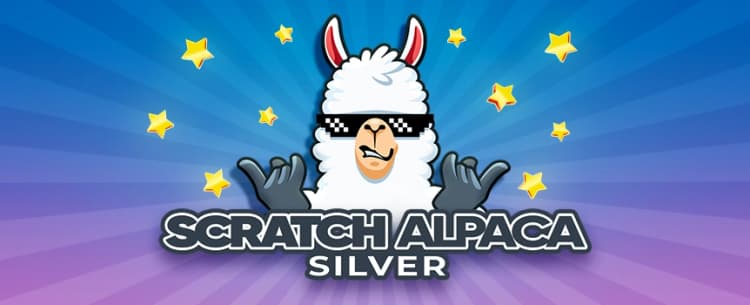Silver Alpaca
