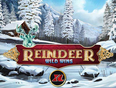 Reinder Wild Wins XL